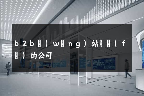 b2b網(wǎng)站開發(fā)的公司