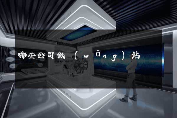 哪些公司做網(wǎng)站