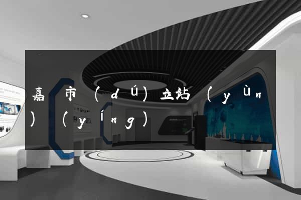 嘉興市獨(dú)立站運(yùn)營(yíng)