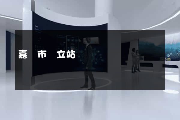 嘉興市獨立站運營