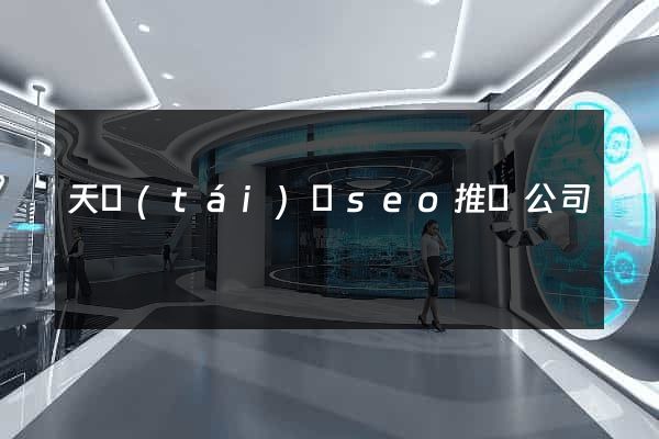 天臺(tái)縣seo推廣公司