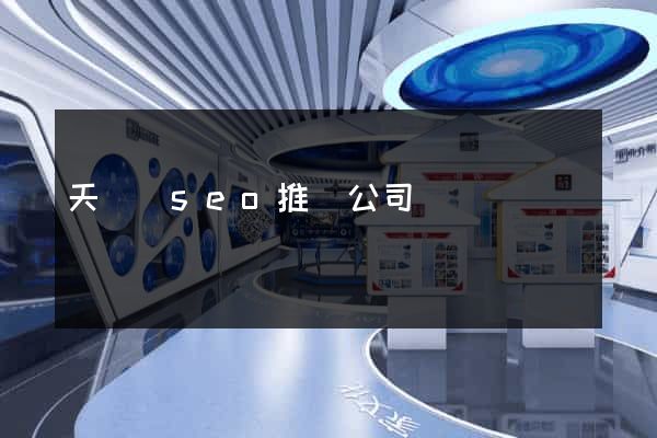 天臺縣seo推廣公司