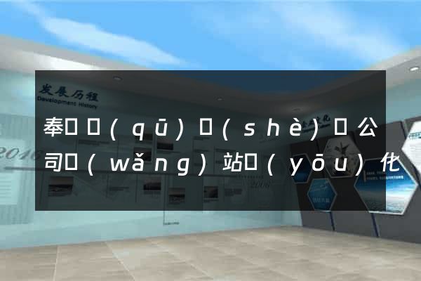 奉賢區(qū)設(shè)計公司網(wǎng)站優(yōu)化