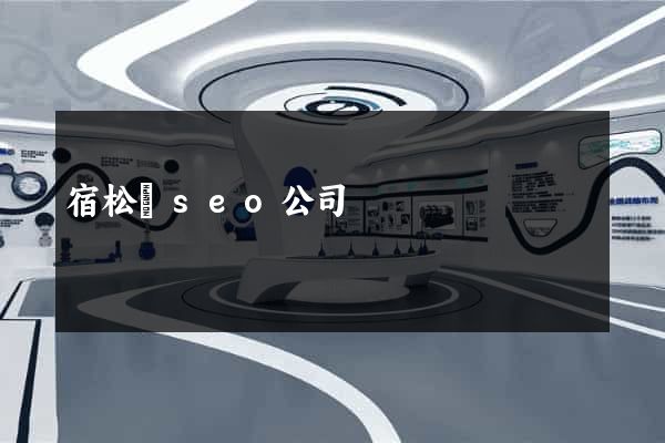 宿松縣seo公司