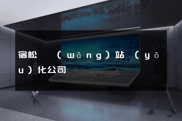 宿松縣網(wǎng)站優(yōu)化公司