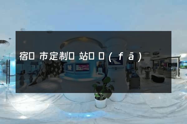 宿遷市定制網站開發(fā)