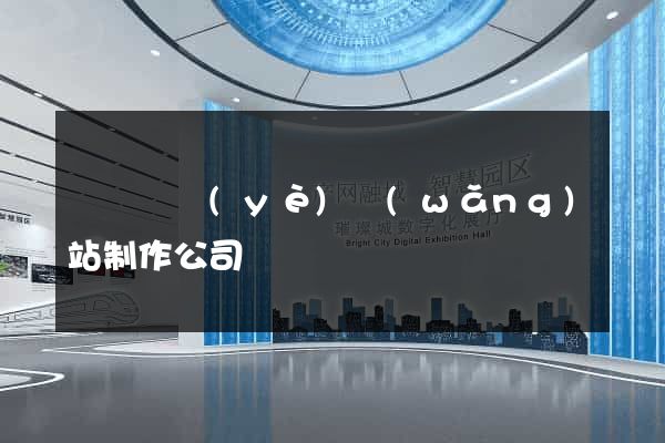 廈門專業(yè)網(wǎng)站制作公司