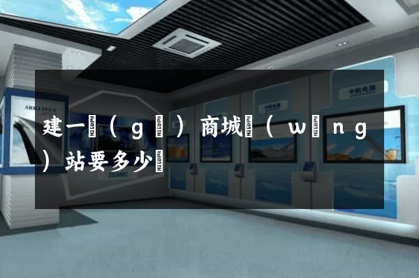 建一個(gè)商城網(wǎng)站要多少錢