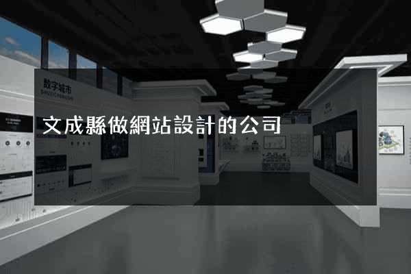 文成縣做網站設計的公司