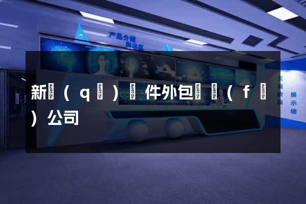 新區(qū)軟件外包開發(fā)公司