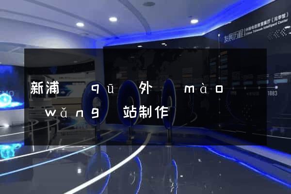 新浦區(qū)外貿(mào)網(wǎng)站制作