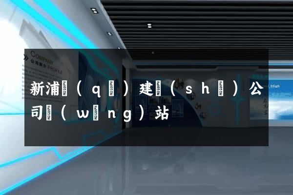 新浦區(qū)建設(shè)公司網(wǎng)站