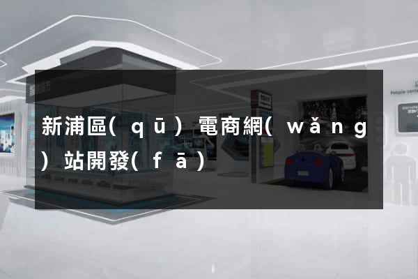 新浦區(qū)電商網(wǎng)站開發(fā)