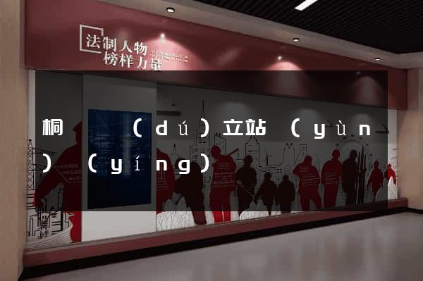 桐廬縣獨(dú)立站運(yùn)營(yíng)