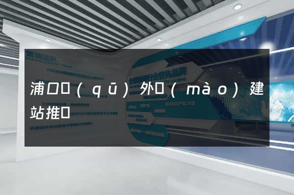 浦口區(qū)外貿(mào)建站推廣
