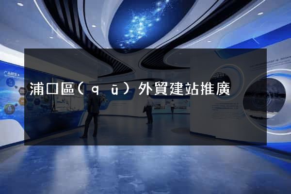 浦口區(qū)外貿建站推廣