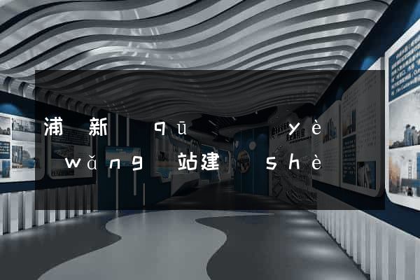 浦東新區(qū)專業(yè)網(wǎng)站建設(shè)