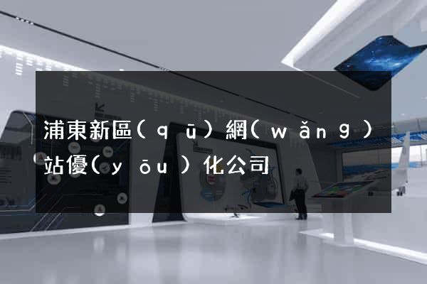 浦東新區(qū)網(wǎng)站優(yōu)化公司