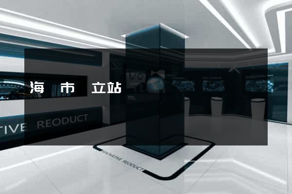 海門市獨立站運營