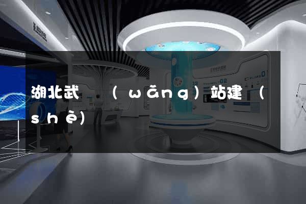 湖北武漢網(wǎng)站建設(shè)