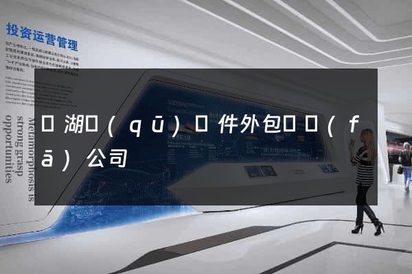 濱湖區(qū)軟件外包開發(fā)公司