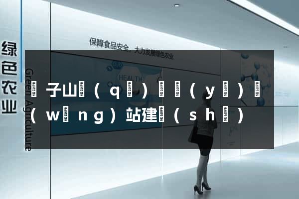 獅子山區(qū)專業(yè)網(wǎng)站建設(shè)