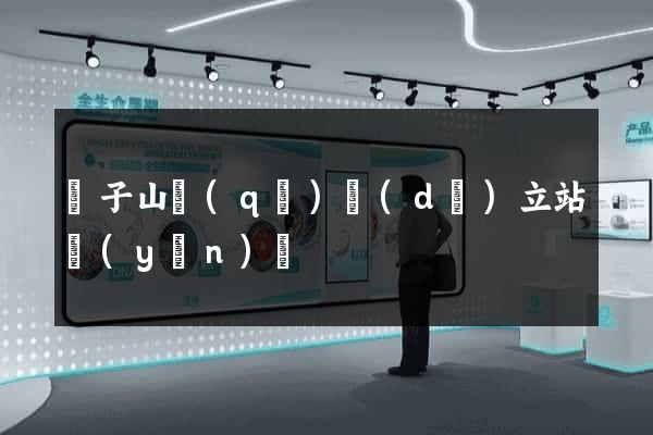 獅子山區(qū)獨(dú)立站運(yùn)營