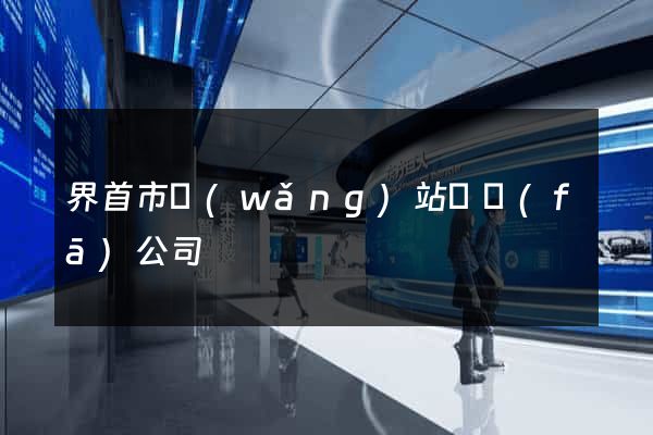 界首市網(wǎng)站開發(fā)公司