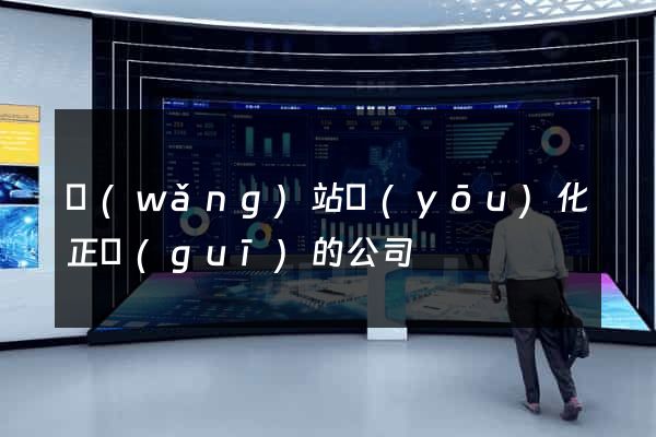 網(wǎng)站優(yōu)化正規(guī)的公司