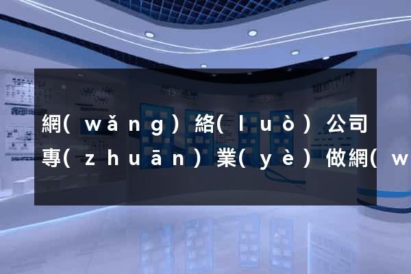 網(wǎng)絡(luò)公司專(zhuān)業(yè)做網(wǎng)站