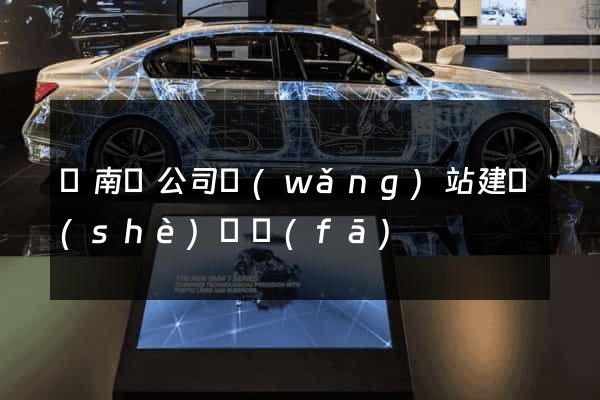 蒼南縣公司網(wǎng)站建設(shè)開發(fā)