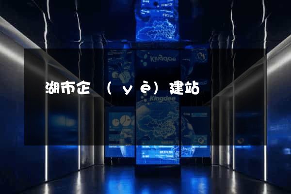 蕪湖市企業(yè)建站