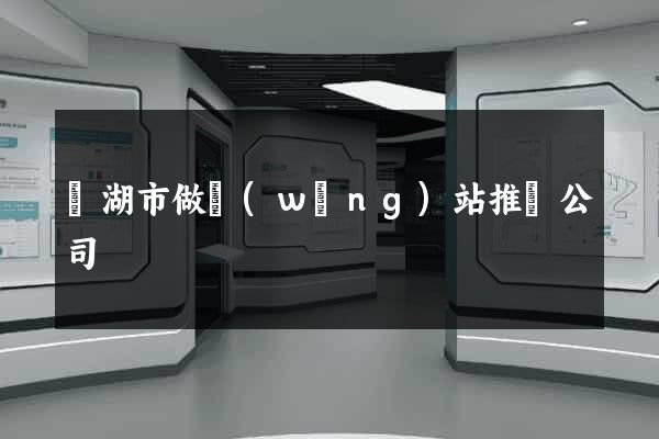 蕪湖市做網(wǎng)站推廣公司