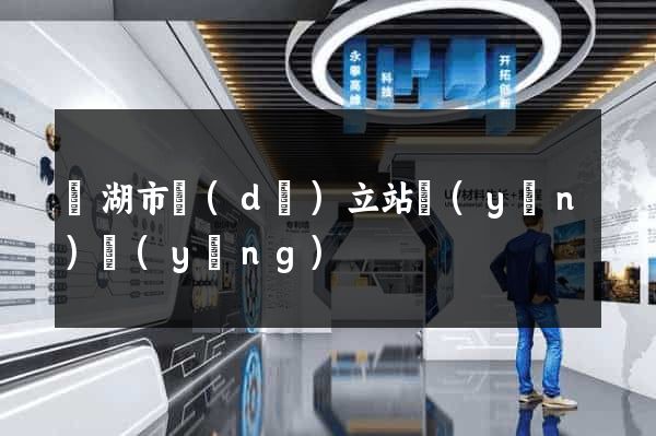 蕪湖市獨(dú)立站運(yùn)營(yíng)