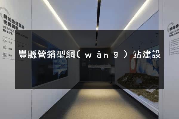 豐縣營銷型網(wǎng)站建設