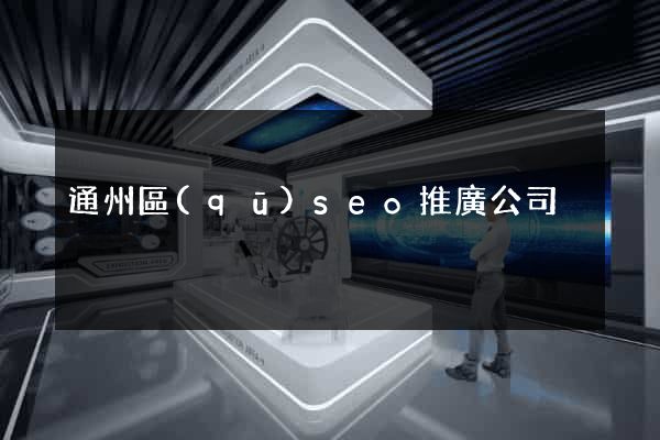 通州區(qū)seo推廣公司