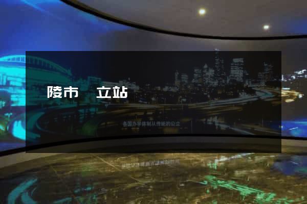 銅陵市獨立站運營