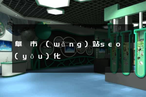 阜陽市網(wǎng)站seo優(yōu)化