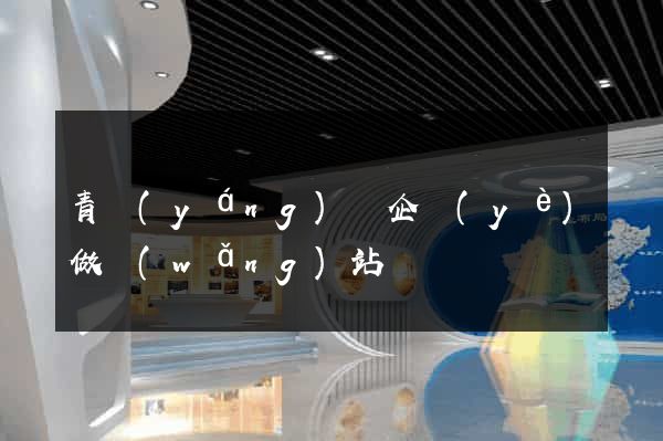 青陽(yáng)縣企業(yè)做網(wǎng)站