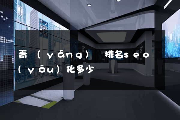 青陽(yáng)縣排名seo優(yōu)化多少錢