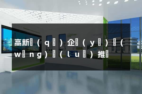 高新區(qū)企業(yè)網(wǎng)絡(luò)推廣