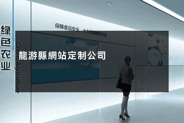 龍游縣網站定制公司